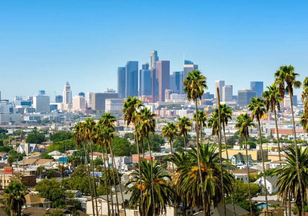 Renting a Forestry Bucket in California